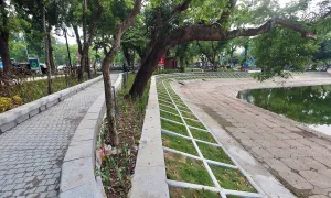 Khánh thành vườn hoa hồ Thiền Quang