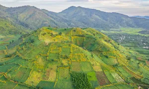 Gia Lai đề nghị tăng chuyến bay dịp Tuần lễ hoa dã quỳ